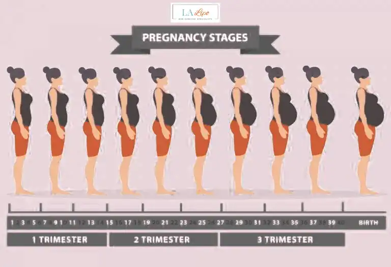 First Trimester (Weeks 1–12): Early Changes You Might Not Notice Swadlincote